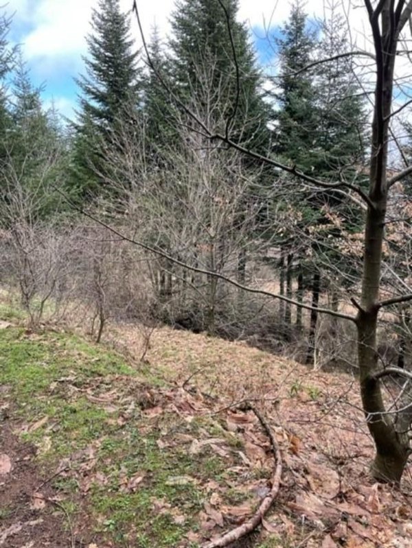 appartamento in vendita a San Marcello Piteglio in zona Casa di Monte