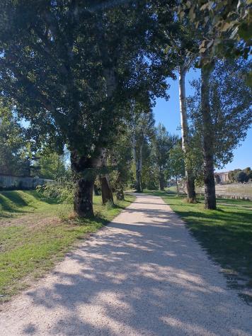 appartamento in vendita a San Marcello Piteglio in zona Gavinana