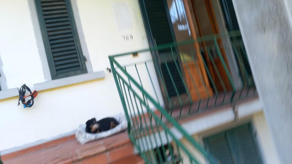 appartamento in vendita a San Marcello Piteglio in zona Pontepetri