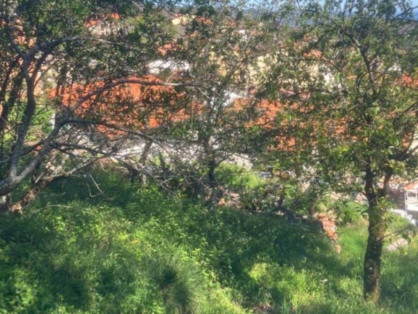 casa indipendente in vendita a San Marcello Piteglio