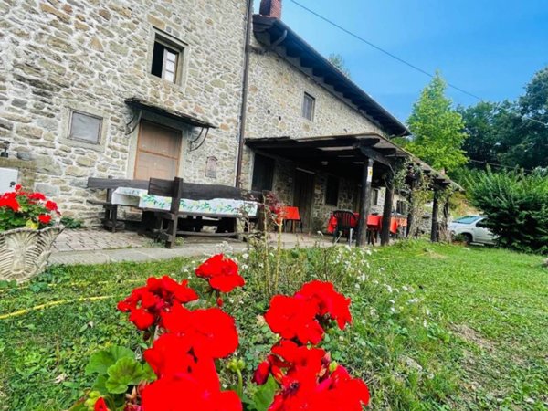 casa indipendente a San Marcello Piteglio in zona San Marcello Pistoiese
