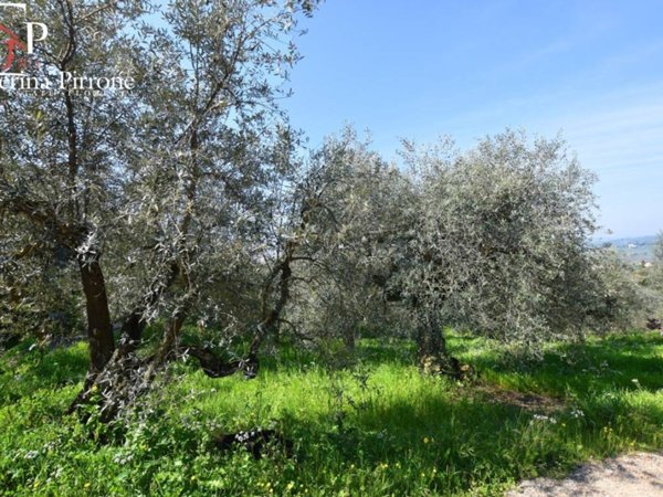 terreno agricolo in vendita a Bagno a Ripoli in zona Osteria Nuova