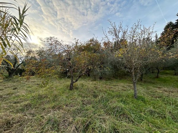 terreno agricolo in vendita a Bagno a Ripoli in zona Grassina