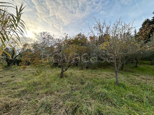 terreno agricolo in vendita a Bagno a Ripoli in zona Grassina