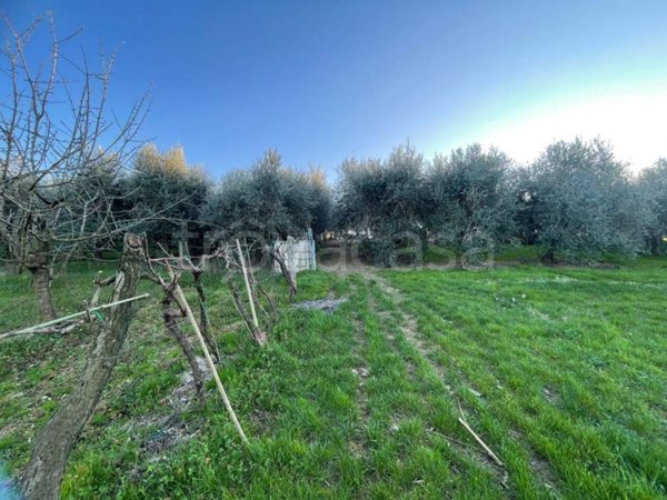 terreno agricolo in vendita a Bagno a Ripoli
