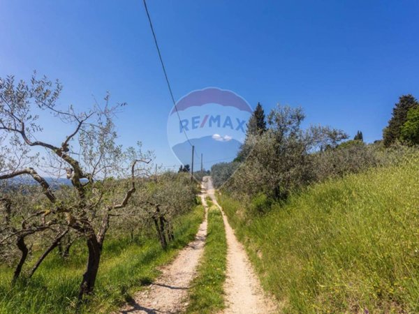 terreno agricolo in vendita a Bagno a Ripoli in zona Osteria Nuova