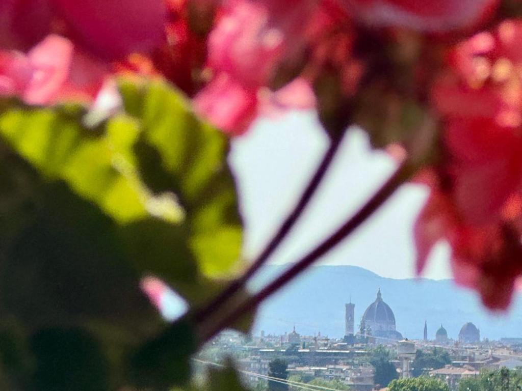 immagine annuncio 0 di 15