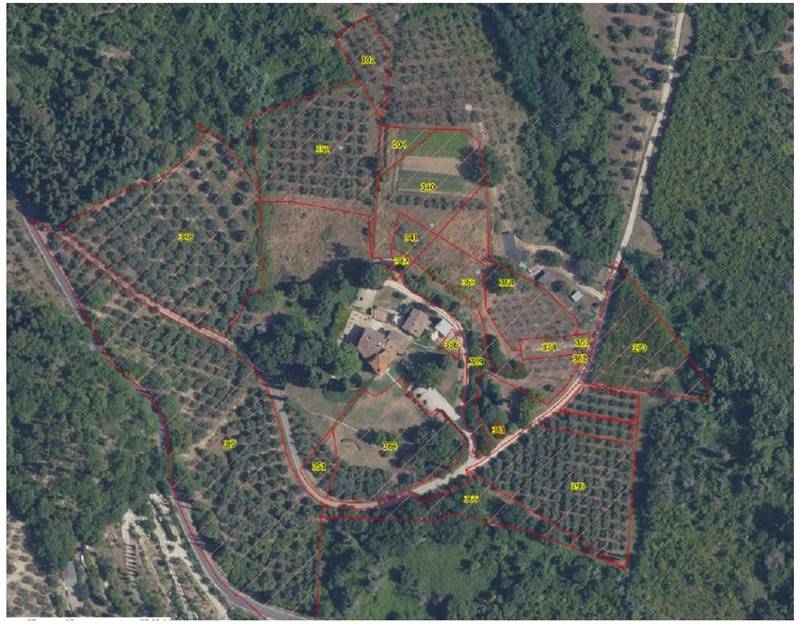 terreno agricolo in vendita a Bagno a Ripoli in zona Candeli