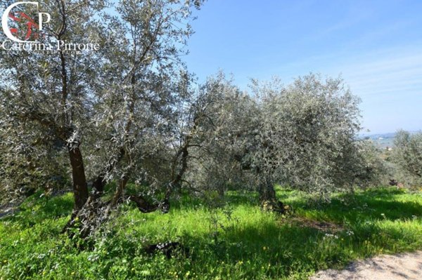 terreno agricolo in vendita a Bagno a Ripoli in zona Osteria Nuova