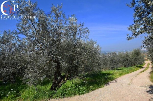 terreno agricolo in vendita a Bagno a Ripoli in zona Antella