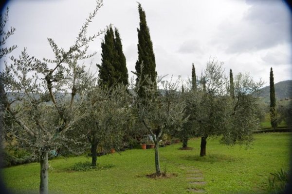 esavano in vendita a Bagno a Ripoli