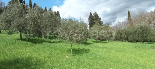 terreno agricolo in vendita a Bagno a Ripoli in zona Grassina