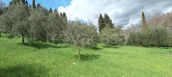 terreno agricolo in vendita a Bagno a Ripoli in zona Grassina