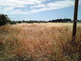 appartamento in vendita a Bagno a Ripoli in zona Grassina