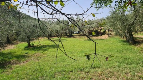 terreno agricolo in vendita a Bagno a Ripoli