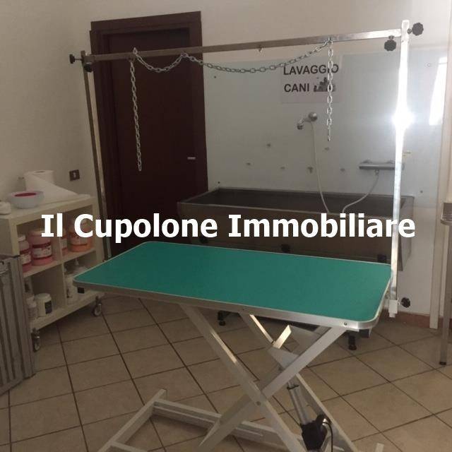 negozio in vendita a Bagno a Ripoli