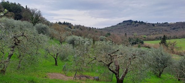terreno agricolo in vendita a Bagno a Ripoli