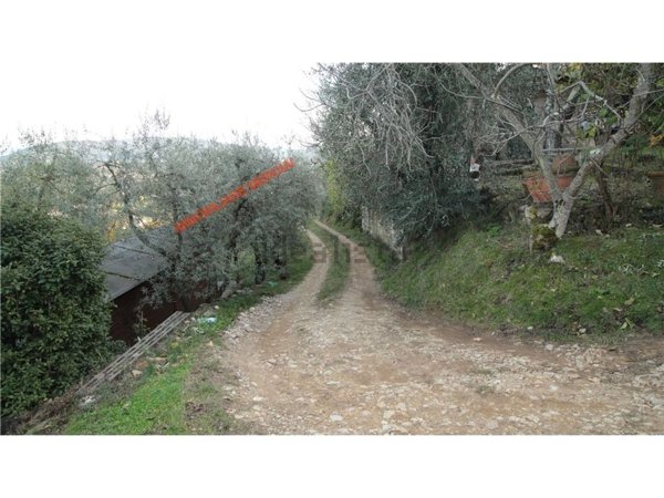 terreno agricolo in vendita a Bagno a Ripoli in zona Grassina