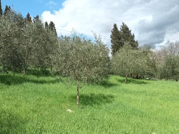 terreno agricolo in vendita a Bagno a Ripoli in zona Grassina