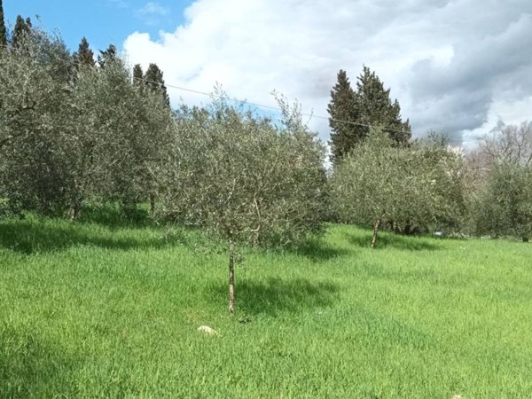 terreno agricolo in vendita a Bagno a Ripoli in zona Grassina