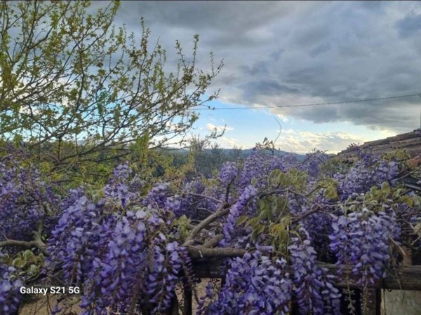 casa indipendente in vendita a Bagno a Ripoli in zona Rimaggio