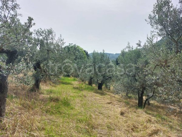 terreno agricolo in vendita a Bagno a Ripoli