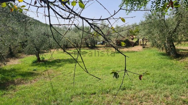 terreno agricolo in vendita a Bagno a Ripoli