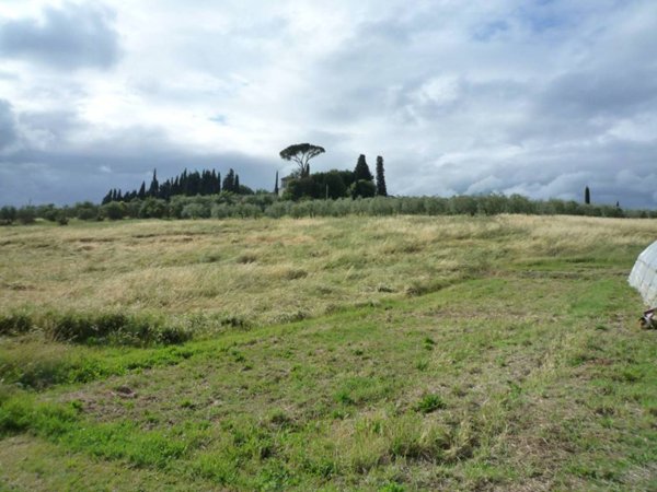 terreno agricolo in vendita a Bagno a Ripoli in zona Grassina