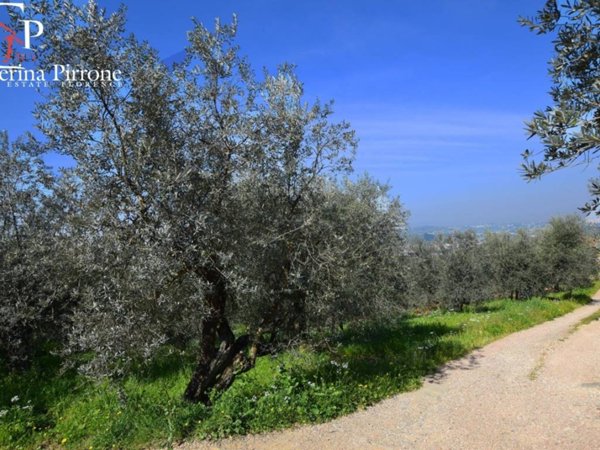 terreno agricolo in vendita a Bagno a Ripoli in zona Osteria Nuova