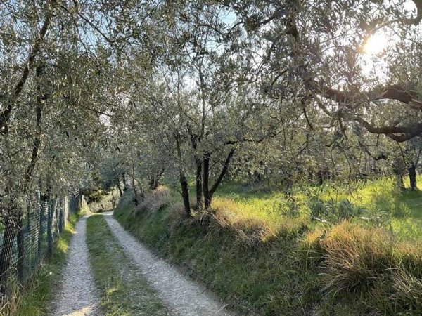 terreno agricolo in vendita a Bagno a Ripoli