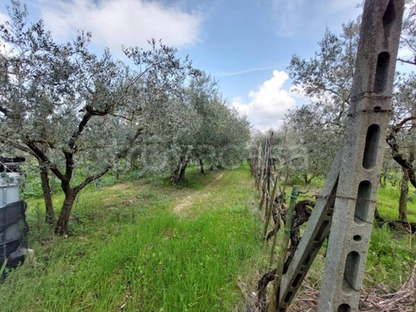 terreno agricolo in vendita a Bagno a Ripoli in zona Antella
