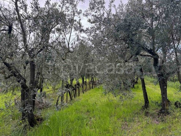 terreno agricolo in vendita a Bagno a Ripoli in zona Antella