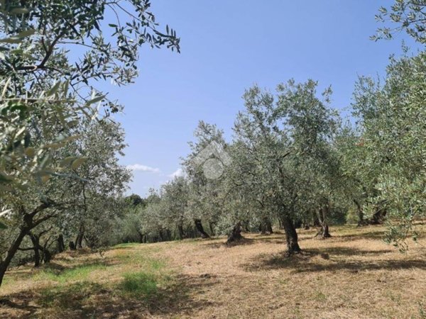 terreno agricolo in vendita a Bagno a Ripoli in zona Osteria Nuova