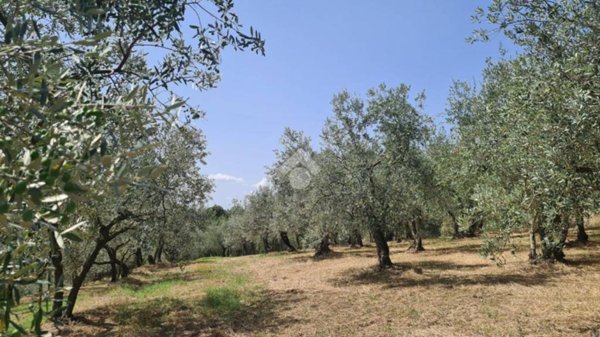 terreno agricolo in vendita a Bagno a Ripoli in zona Osteria Nuova