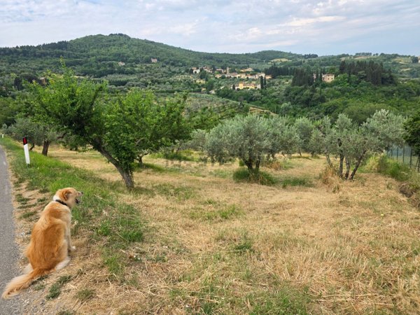 terreno agricolo in vendita a Bagno a Ripoli in zona Villamagna
