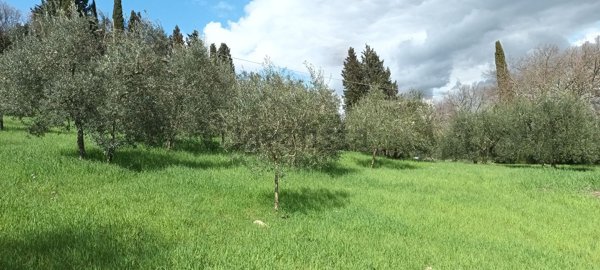 terreno in vendita a Bagno a Ripoli in zona Grassina