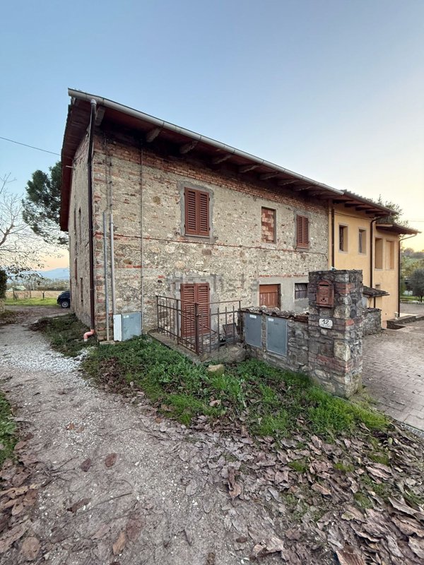 esavano in vendita a Barberino di Mugello in zona Galliano