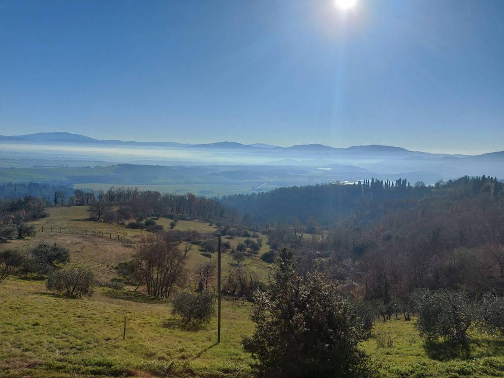 terreno agricolo in vendita a Barberino di Mugello