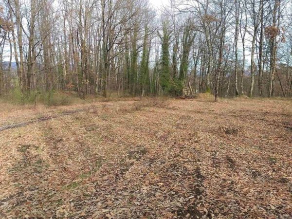 terreno agricolo in vendita a Barberino di Mugello