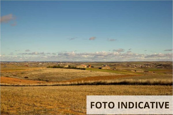 terreno agricolo in vendita a Barberino di Mugello