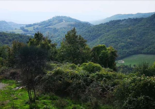 terreno agricolo in vendita a Barberino di Mugello