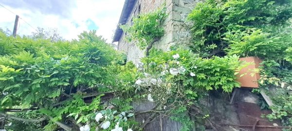 casa indipendente in vendita a Barberino di Mugello in zona Galliano