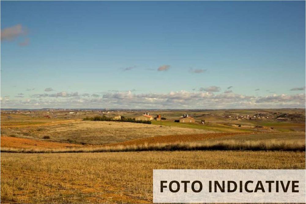 terreno agricolo in vendita a Barberino di Mugello