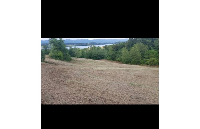 terreno agricolo in vendita a Barberino di Mugello in zona Cavallina