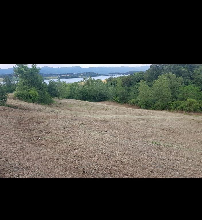 terreno agricolo in vendita a Barberino di Mugello in zona Cavallina