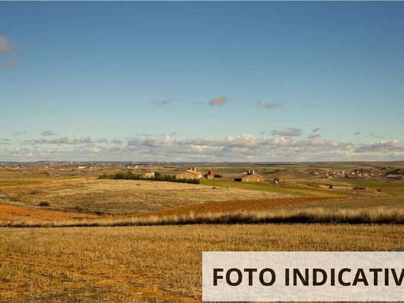 terreno agricolo in vendita a Barberino di Mugello