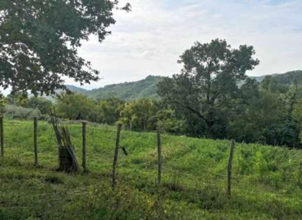 terreno agricolo in vendita a Barberino di Mugello