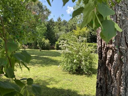 casa indipendente in vendita a Barberino di Mugello