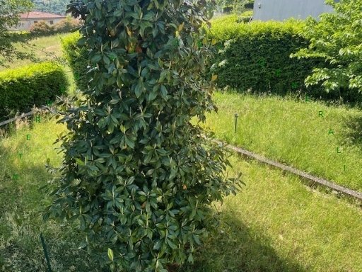 appartamento in vendita a Barberino di Mugello in zona Cavallina