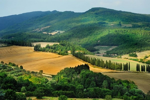 casa indipendente in vendita a Barberino di Mugello